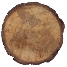 Load image into Gallery viewer, Dainty Home Wood With Tree Bark Designed 4" Round Coaster Set Of 4
